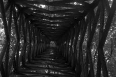 mediatabor_2015_06