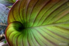 media_2016_09